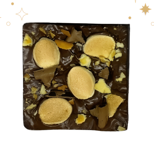 Smores Mini Fudgy Brownie